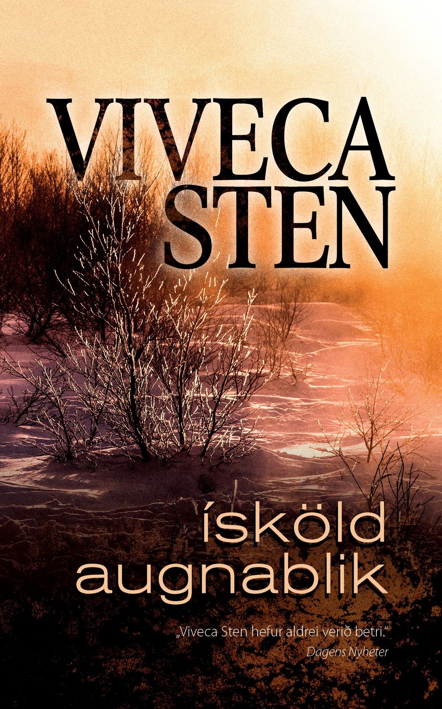 Ísköld augnablik: Sandhamn #9