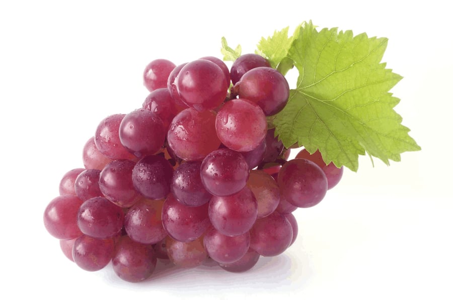 Vínber rauð ca 500 gr