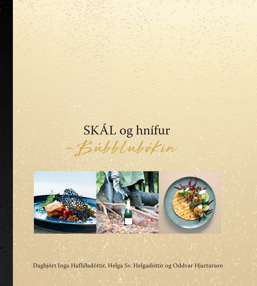 SKÁL og hnífur - Búbblubókin