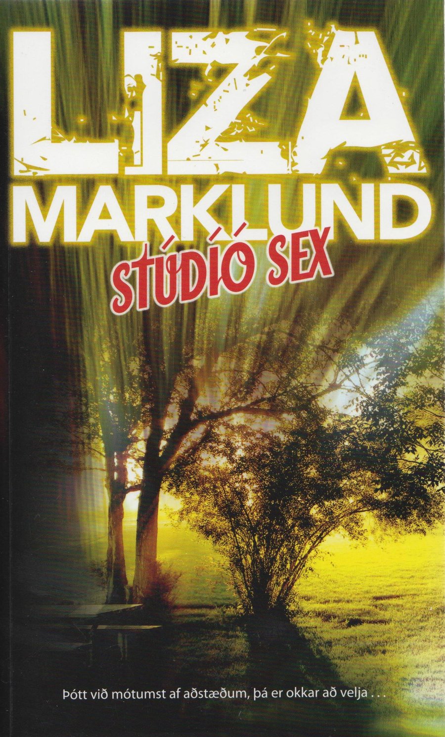 Stúdíó Sex: Annika Bengtzon #1