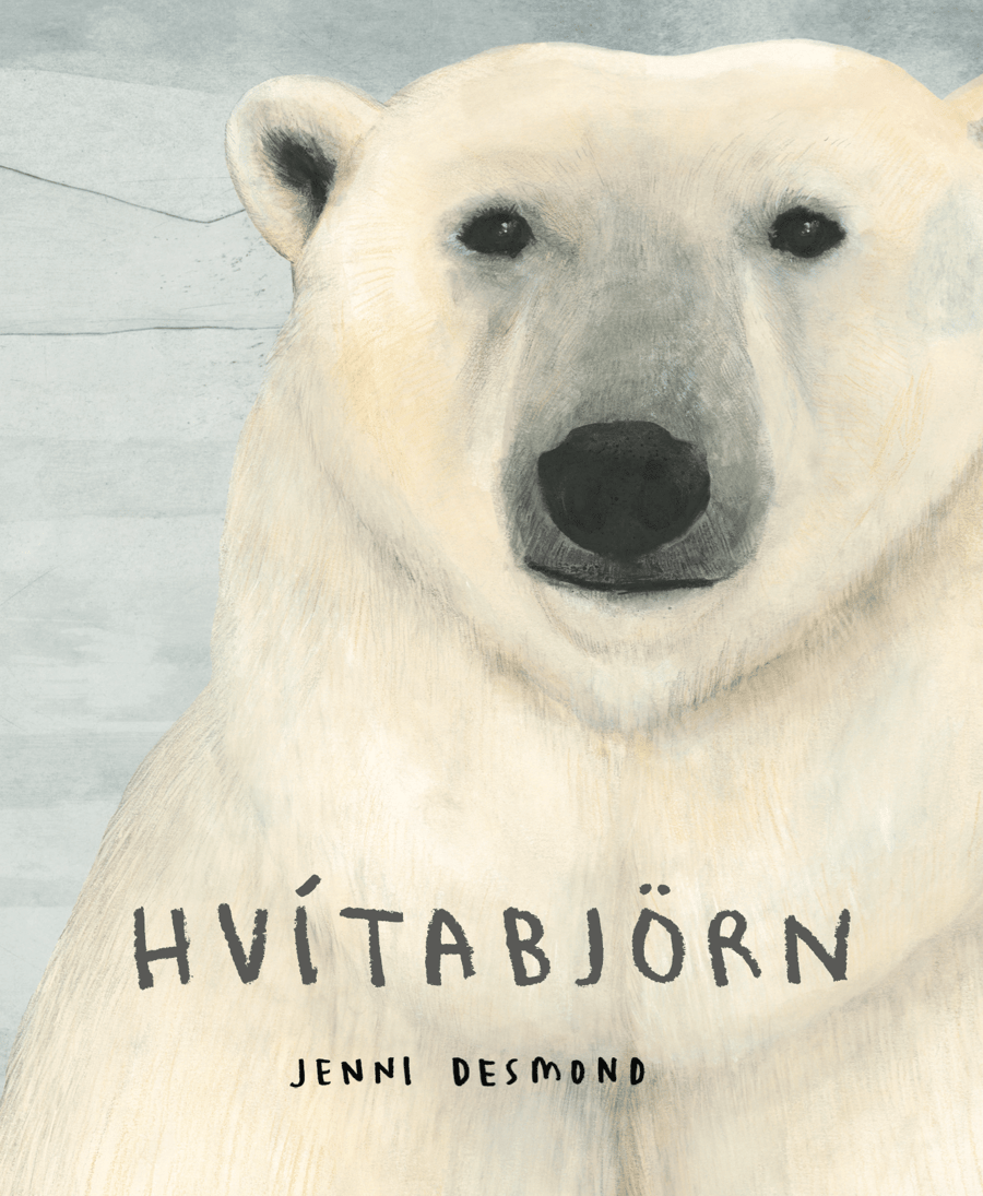 Hvítabjörn