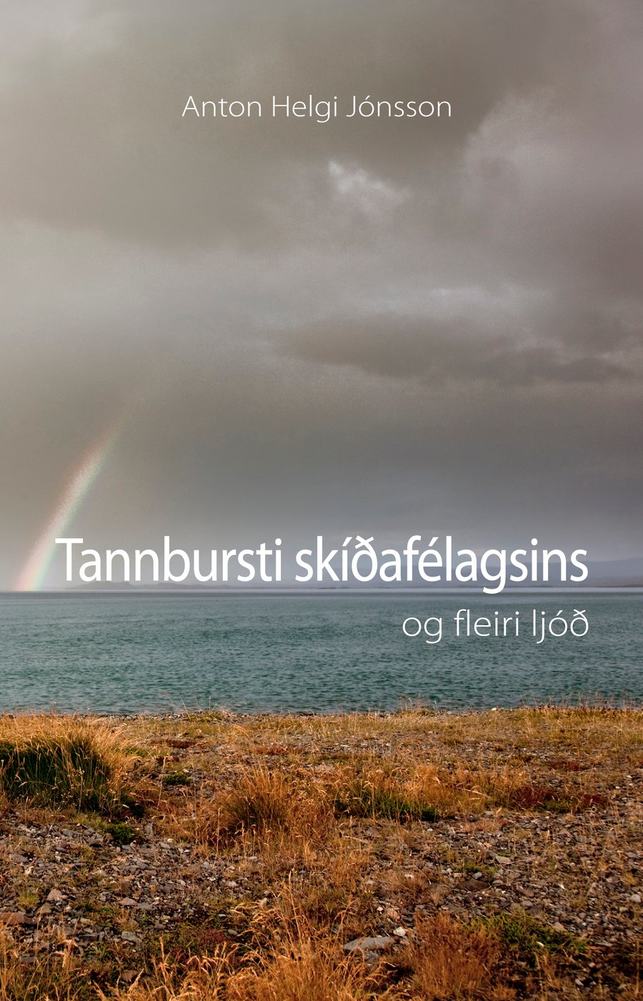Tannbursti skíðafélagsins og fleiri ljóð