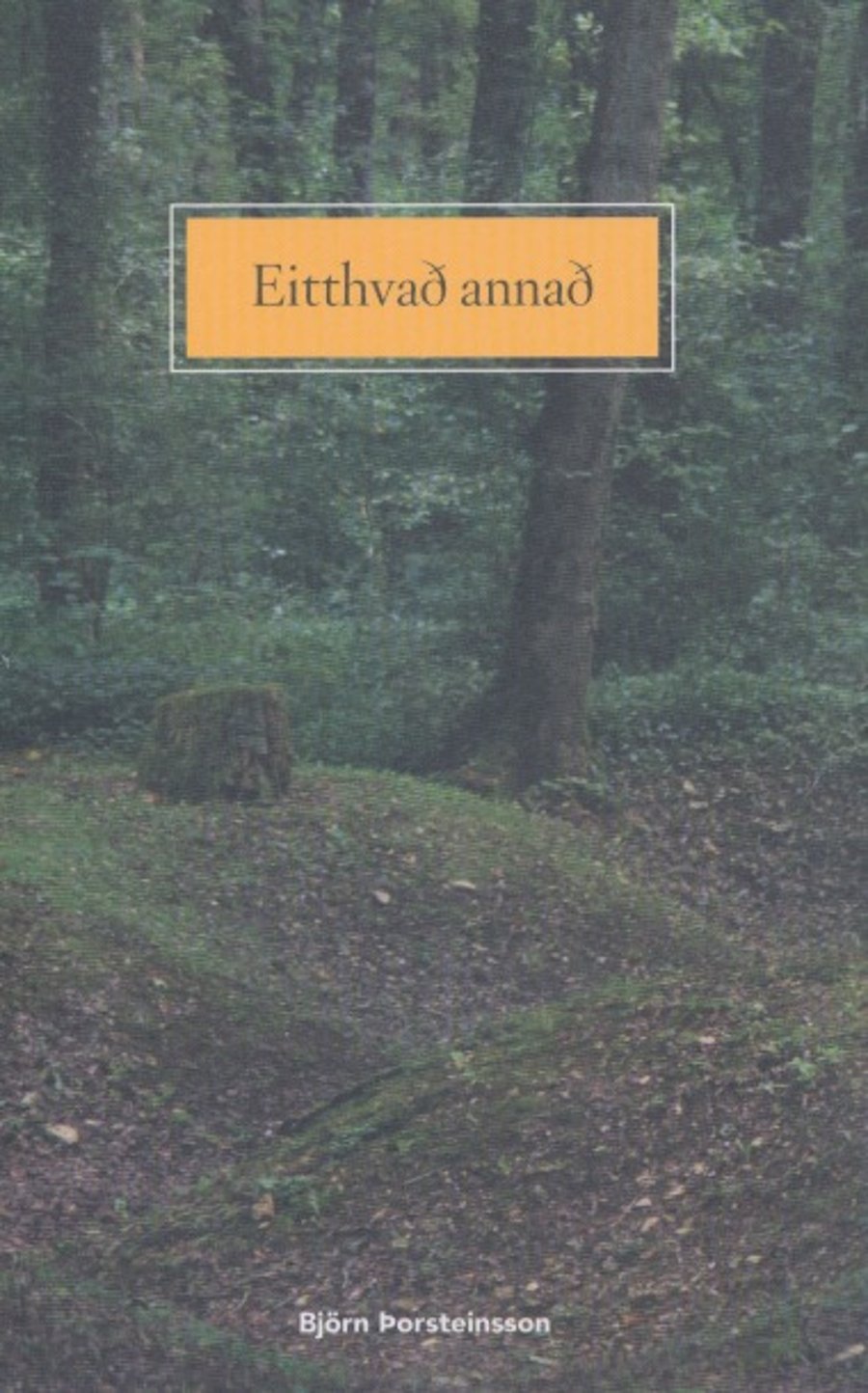 Eitthvað annað