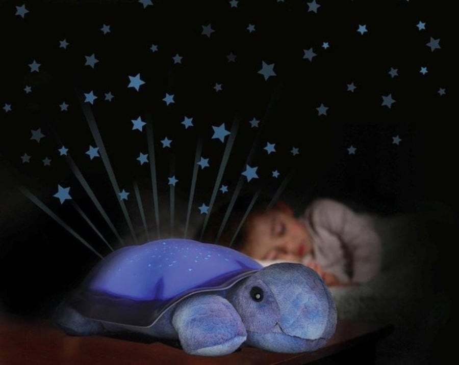 Tranquil Turtle – fjólublá