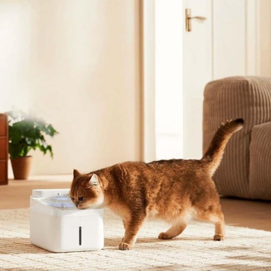 Xiaomi Smart 2 vatnsbrunnur